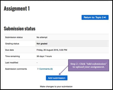 Submitting Assignment on LMS .